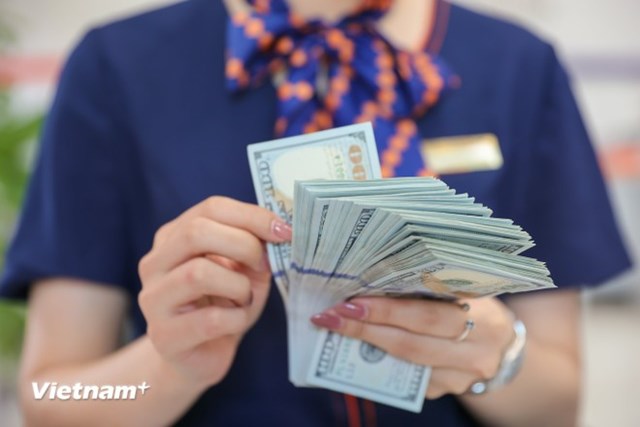 Thống đốc cho biết Ng&acirc;n h&agrave;ng Nh&agrave; nước sẽ theo d&otilde;i s&aacute;t diễn biến tỷ gi&aacute;, thậm ch&iacute; l&agrave; diễn biến h&agrave;ng ng&agrave;y để c&oacute; sự chủ động trong điều tiết. (Ảnh: Vietnam+)