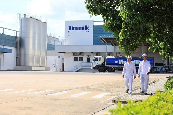 Vinamilk l&agrave; doanh nghiệp sữa đầu ti&ecirc;n sở hữu cả trang trại v&agrave; nh&agrave; m&aacute;y đạt trung h&ograve;a carbon theo ti&ecirc;u chuẩn PAS 2060:2014 (Ảnh: Minh Anh).
