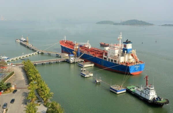Vận tải v&#224; dịch vụ Petrolimex Hải Ph&#242;ng: Lợi nhuận 2023 giảm tới 95% - Ảnh 1